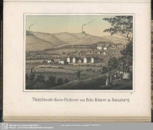 Die Türkischroth-Garn-Färberei von Gebrüder Römer in Hainsberg bei Dresden