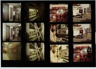 COOP, 1981