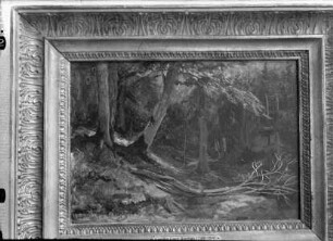 Märkischer Wald