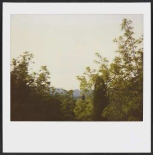 Garten in Puy-Saint-Martin