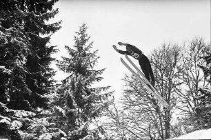 Hinterzarten: Springer