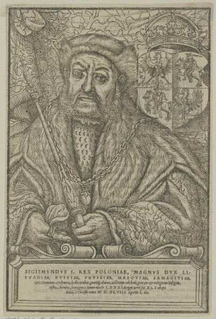 Bildnis des Königs Sigismund I. von Polen