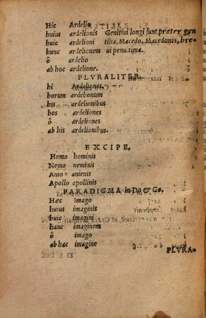 Elementa Latinae Grammatices : recognita ab autore