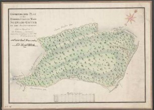 Geometrischer Plan von dem herrschaftl. Wald Schwabs-Grund im Amt Stauffenberg