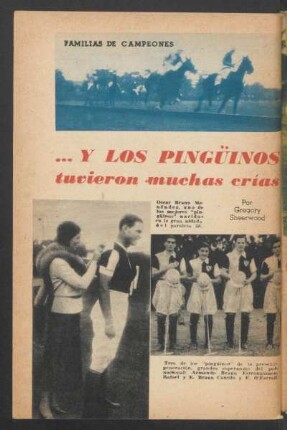... y los pingüinos tuvieron muchas crías : Familias de campeones