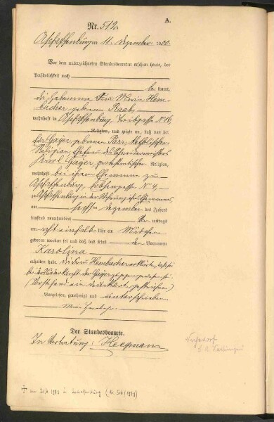Standesamtsbuch der Stadt Aschaffenburg: Geburten 365/1900 - 184/1901
