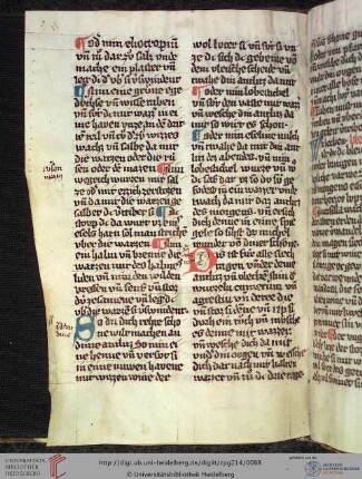 Papst Johannes XXI. (Petrus Hispanus), Thesaurus pauperum (Auszug)