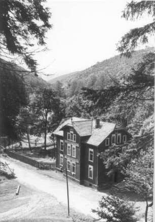 Frauenwald. Gast- und Logierhaus "Zur Tannenmühle". Straßenansicht