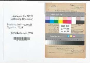 Entnazifizierung Willi Schiebelbusch, geb. 25.11.1909 (Kaufm.Angest.)