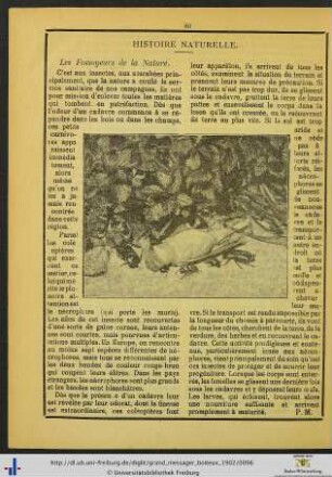 Histoire naturelle.