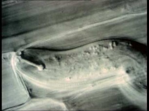 Behaviour of the Root Nematode Pratylenchus penetrans