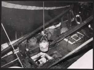 Beim Löschen des frischen Fangs am Fischereihafen Hamburg-Altona