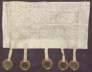 Instrumentum probationis des Jodok Matthias Twickel von Havixbeck.