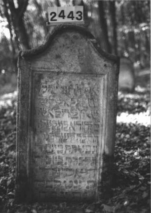 Grabstein 2443