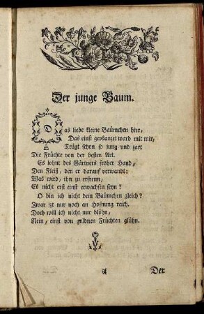 Der junge Baum. - Gottes Macht und Vorsehung.