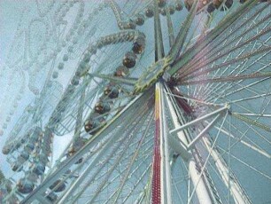 The Centrifuge Brain Project
