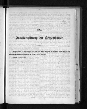 IX. Invalidenstiftung der Herzogthümer.