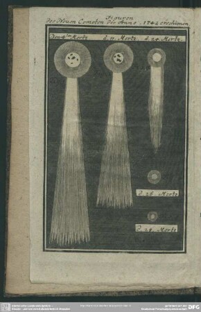 Figuren des Neuen Cometen der Anno 1742 erschienen