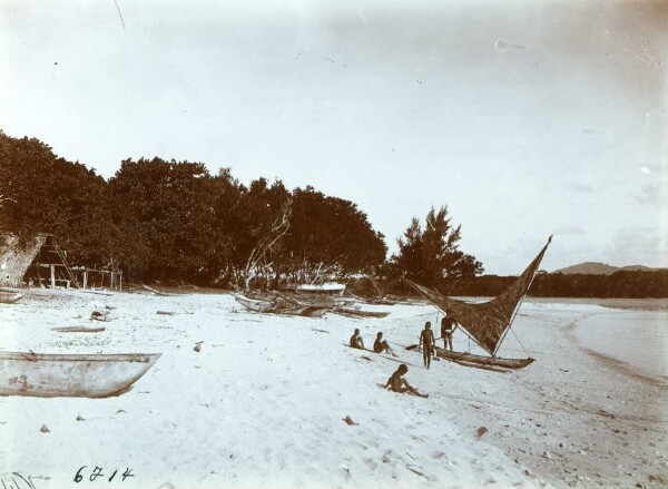 "Beach. Malekula."