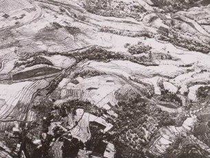 Indonesien, Java. Reisfelder, Terrassenanlagen