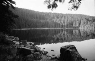 Mummelsee: Rund um den See; Seeufer, Vordergrund Felsbrocken