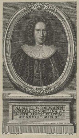 Bildnis des Samuel Widemann