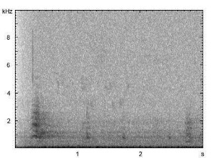 Graureiher | Ardea cinerea - Ruf