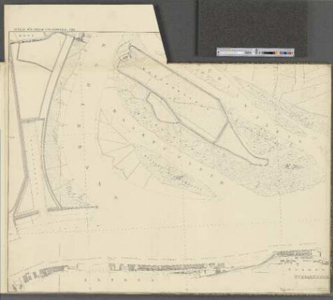 [Blatt VIII.] : Ross. Mühlenwärder. Maakenwärder. Altona. Neumühlen.