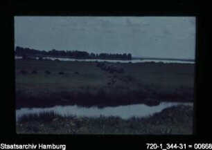 Elbe bei Altengamme