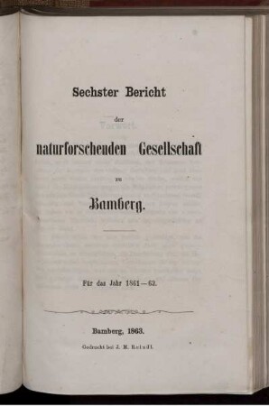 6: Bericht