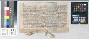 Die Gebrüder und Vettern Kanen von Lude bekennen, an den Paderborner Priester Lubbert Rothardes eine jährliche Rente aus der Steinheimer Herbstbede für 100 Goldgulden verkauft zu haben.