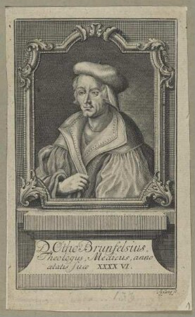 Bildnis des Otho Brunfelsius