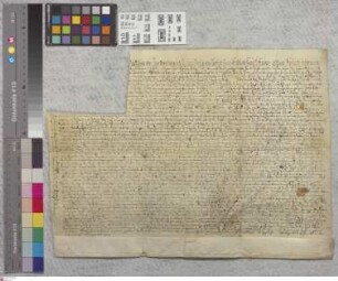 Klein-Krotzenburg: Erbleihrevers von Pankras Molingen v. Dalheim und Ehefrau