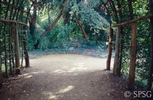 Potsdam, Park Sanssouci, Marlygarten, Parkweg im nördlichen Teil.