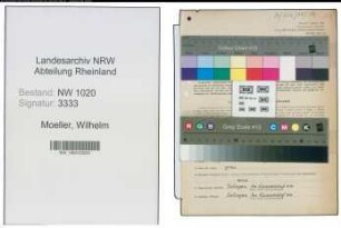 Entnazifizierung Wilhelm Moeller , geb. 05.08.1902 (Maler)
