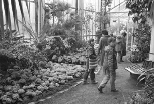 Beuch im Gewächshaus des Botanischen Gartens