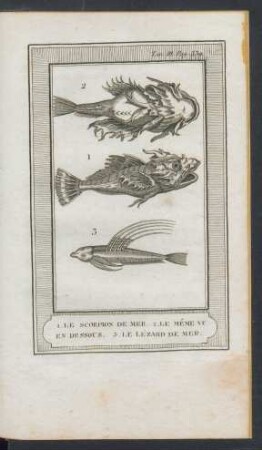 Tafel: 1. Le scorpion de mer. 2. Le même vu en dessous. 3. Le lézard de mer.