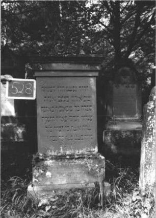 Grabstein 528 (Index: 99895478) Material: Sandstein Zustand: gut, Sockel verwittert Maße HxBxT: 161x60x12 cm Beschreibung: Stele mit Palmettenaufsatz; profilierter Sockel: Grabstein 528 (1)