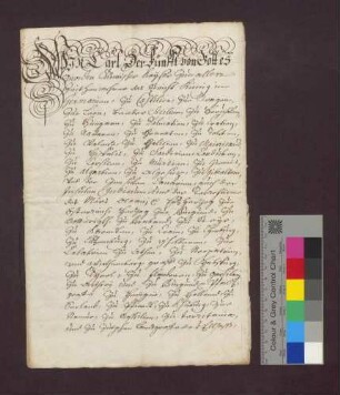 Freiheitsbrief Kaiser Karls V. für die Stadt Waldshut.