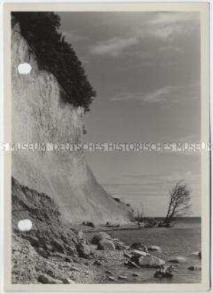 Insel Rügen, Kreidefelsen, Stubbenkammer