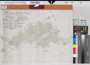 Hörste (Halle) Teilung des Fleers (der Fleergehölze) 1791 o.M. 37,5 x 51 kol. Zeichnung M. C. L. Reinhold Spez.Verz. Markenkarten X Nr. 70,1