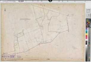 Walstedde (Drensteinfurt), Flurbereinigung Walstedde, Bl. 23 Zuteilungskarte Walstedde Flur 39, Drensteinfurt Flur 57 u. 58