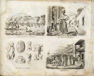 Malerische Reise in Süd- und Nordamerika : eine geordnete Zusammenstellung des Wissenswürdigsten von den Entdeckungsreisen eines Columbus, Las Casas, Oviedo ..., [2]