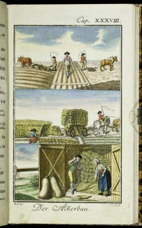 Cap. XXXVIII. Der Ackerbau.