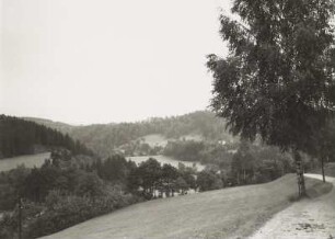 Tal der Weißen Elster unterhalb Jocketa. Blick von einem Weg bei Trieb von Norden talauf mit Barthmühle und Elstertalviadukt