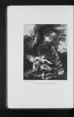 Francois Lemoyne, Narziss