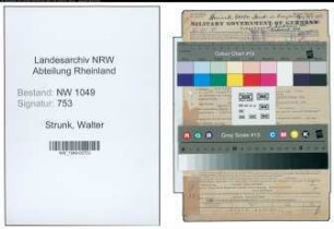 Entnazifizierung Walter Strunk , geb. 04.05.1904 (Kaufmann)