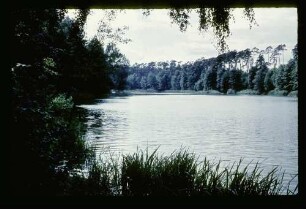 Krumme Lanke 30.8.59.