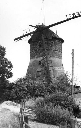 Baruth/Mark. Turmholländer