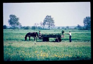 Gatow Felder 10.5.69.